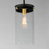 Maxim Pinn Single Pendant Model: 12408CLBKSBR