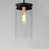 Maxim Pinn Single Pendant Model: 12408CLBKSBR