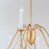 Maxim Plumette 8 Light Chandelier Model: 12168CHB