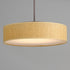 Maxim Prime 16 Inch Wide LED Pendant Model: 10224WLSN