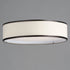 Maxim Prime Flush Mount Model: 10223WLSN