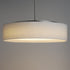 Maxim Prime 20 Inch Wide LED Pendant Model: 10226WLSN
