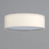 Maxim Prime Flush Mount Model: 10220OM