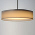 Maxim Prime Single Pendant Model: 10226WLSN