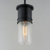 Maxim Rexford 1 Light Mini Pendant Model: 10362CDBK