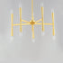 Maxim Rome Chandelier Model: 24625BK