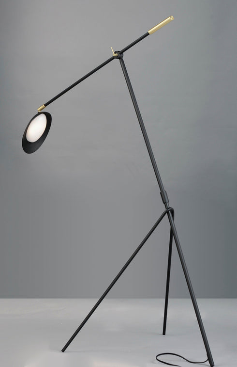 Maxim Scan Floor Lamp Model: 21694BKSBR