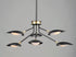 Maxim Scan Multi Light Pendant Model: 21696BKSBR