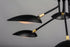 Maxim Scan Multi Light Pendant Model: 21696BKSBR