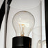 Maxim Sentinel Single Pendant Model: 25254CLBK