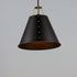 Maxim Trestle 1 Light Pendant Model: 25162OIAB