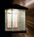 Maxim Triumph Vx LED Outdoor Wall Sconce Model: 55734CLET