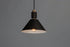 Maxim Tucson Single Pendant Model: 10089OIWWD