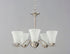 Maxim Vital Chandelier Model: 12075FTOI