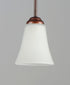 Maxim Vital Mini Pendant Model: 92081FTOI