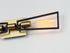 Maxim Wings 2 Light Wall Sconce Model: 11652BKSBR