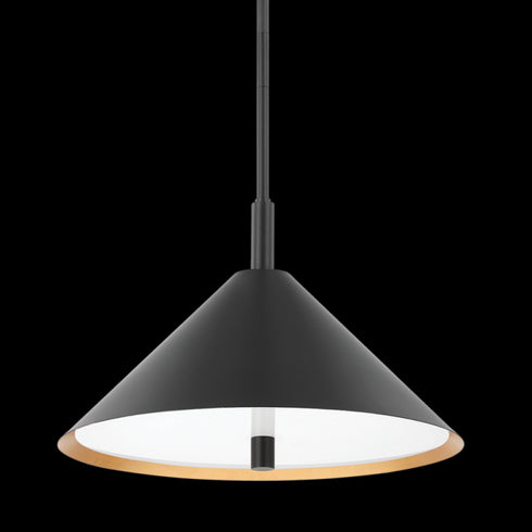 Mitzi 3 Light Pendant Model: H629703-GL/SBK