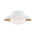 Mitzi Cadence 1 Light Medium Semi Flush Model: H368601M-BLK/GL