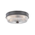 Mitzi Lacey 2 Light Flush Mount Model: H309501-PN