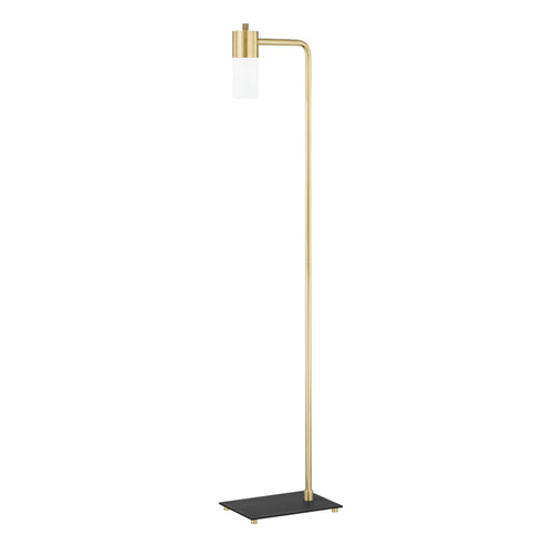 Mitzi Lola 1 Light Floor Lamp Model: HL461401-AGB