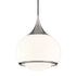 Mitzi Reese 1 Light Large Pendant Model: H281701L-AGB