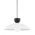 Mitzi Whitley 1 Light Large Pendant Model: H481701L-PN