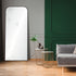 Renwil Mandret Irregular Mirror With A Matte Black Model: MT2381