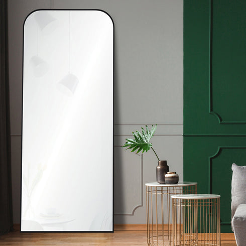 Renwil Mandret Irregular Mirror With A Matte Black Model: MT2381