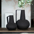 Renwil Monarda Set Of 2 Vases Model: VAS196