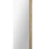 Renwil Natasha Irregular Mirror With A Antique Brush Model: MT2364