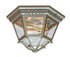 Snoc Florence Ceiling Mount Model: 33775 (4770)