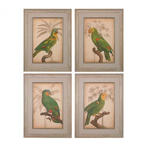 Sterling 151-018/S4 Giclee Under Glass Parrot And Palm I Through Iv - Fine Art Giclees Under Glass