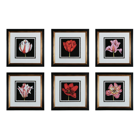 Sterling Tulip Profusion Model: 10003-S6