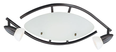 TK44-12-117 2-Light Dark Chocolate Ceiling Track Fixture