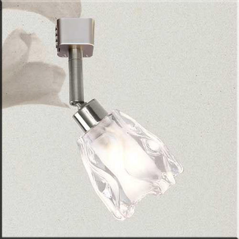 TR317-SCH Satin Chrome Track Head with Water Glass Shade