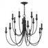 Troy Cate 14 Light Chandelier Model: F1014-GSW