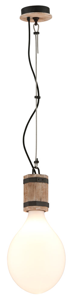 Troy Fulton 1 Light Pendant Model: F4555