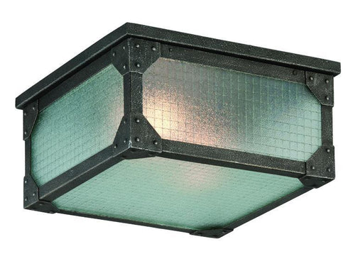 Troy Hoboken 2 Light Ceiling Flush Model: C3870
