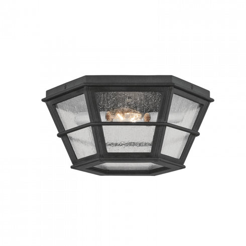 Troy Lake County 2 Light Flush Mount Model: C2514-FRN