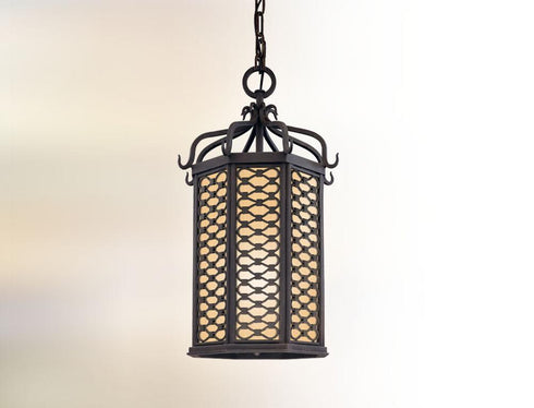 Troy Los Olivos 1 Light Hanging Lantern Model: FF2378OI
