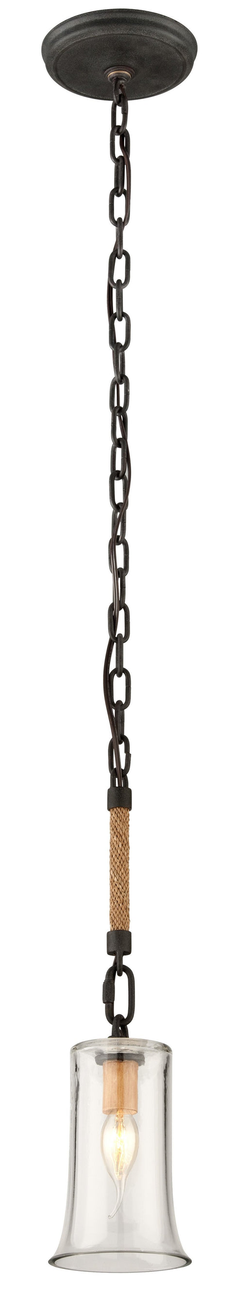 Troy Pier 39 1 Light Pendant Small Model: F3622
