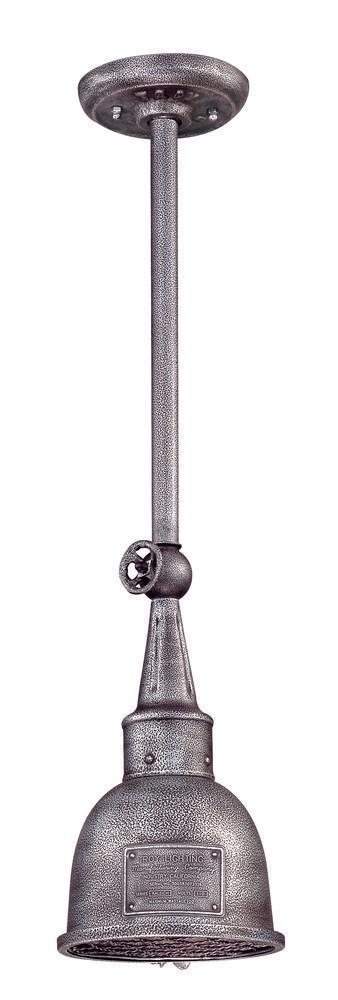 Troy Raleigh 1 Light Hanging Model: F2946