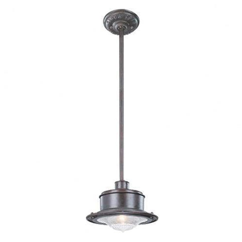 Troy South Street 1 Light Hanging Downlight Medium Model: F9396OR