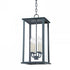 Troy Zuma 4 Light Medium Exterior Lantern Model: F6710-FRN
