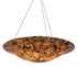 Varaluz 178P05A Big 5-lt Bowl Pendant
