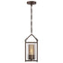 Varaluz 259M01AS Jackson 1-lt Mini Pendant