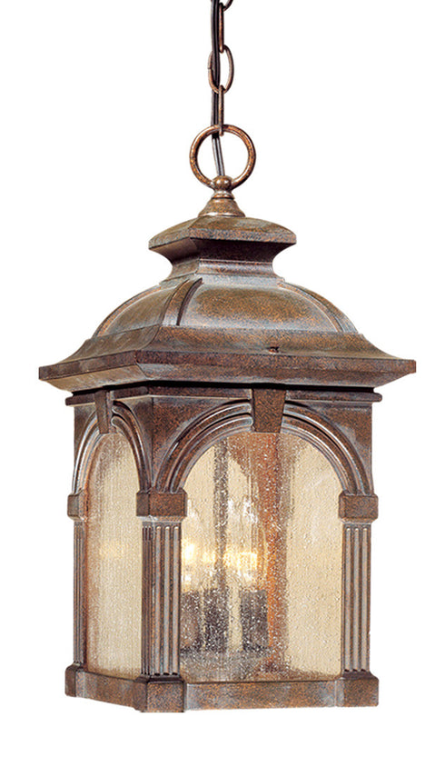 Vaxcel Essex 9 Inch Outdoor Pendant Model: OD38796RBZ