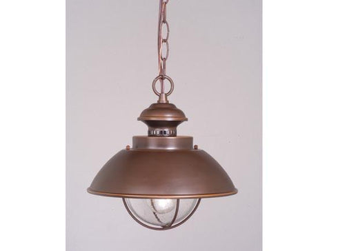 Vaxcel Harwich 10 Inch Outdoor Pendant Model: OD21506BBZ